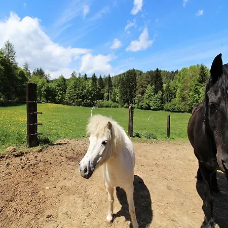 Διαμέρισμα In Koettmansdorf Am Woerthersee