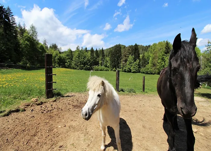 Apartament In Koettmansdorf Am Woerthersee